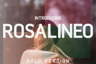 Rosalineo Bold: A Modern Typographic Homage to Helvetica